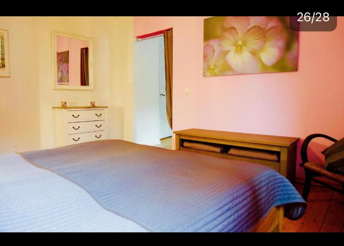 Apartment Moselblick Mit Kamin Traben-Trarbach Eksteriør billede
