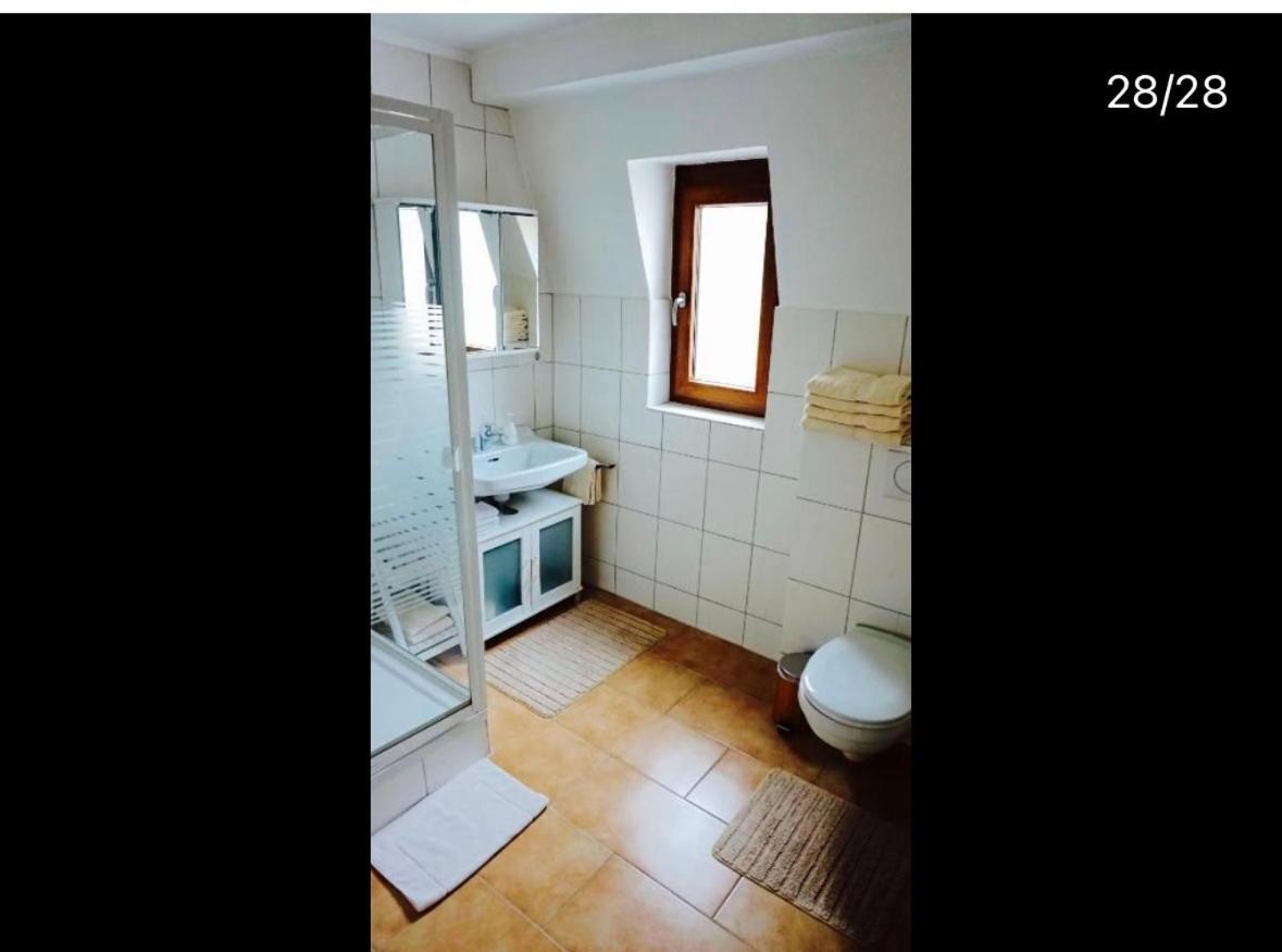 Apartment Moselblick Mit Kamin Traben-Trarbach Eksteriør billede
